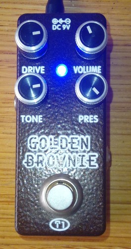 Xvive xt1 golden - brownie, micro